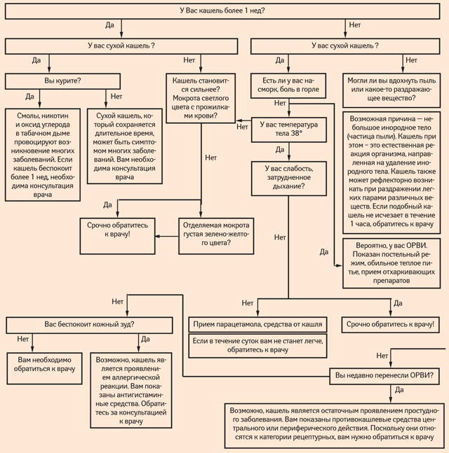 Схема лечения кашля у взрослых - 82 фото